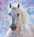 Анимированные картинки с конями и лошадями