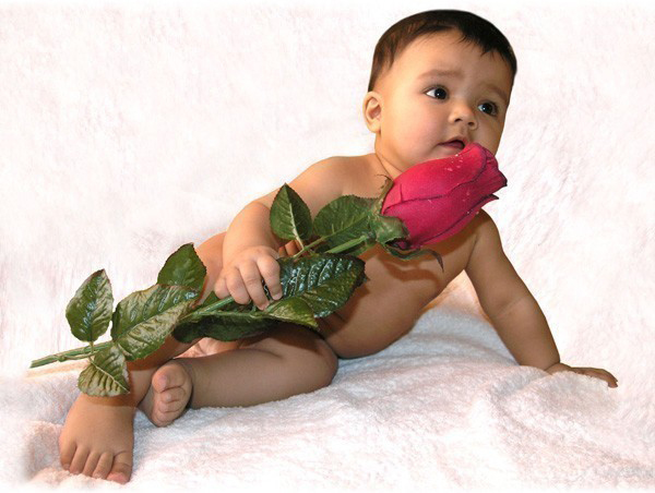 Маленький мальчик с розой для девочки, Картинки, рисунки красивые