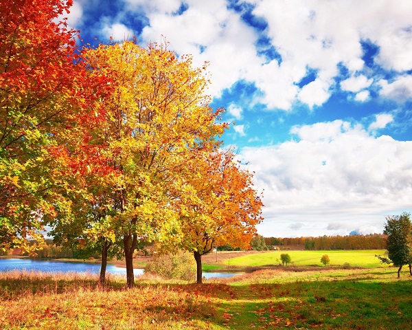 Осенний пейзаж, Картинки, рисунки красивые