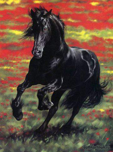 Лошади, кони Картинки, рисунки